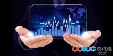 凱撒網 數字技術服務的平臺與安全性探討